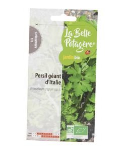 Giant Italian Parsley BIO,